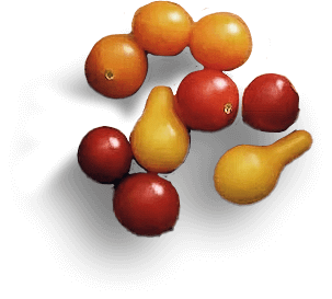 tomatoes.png